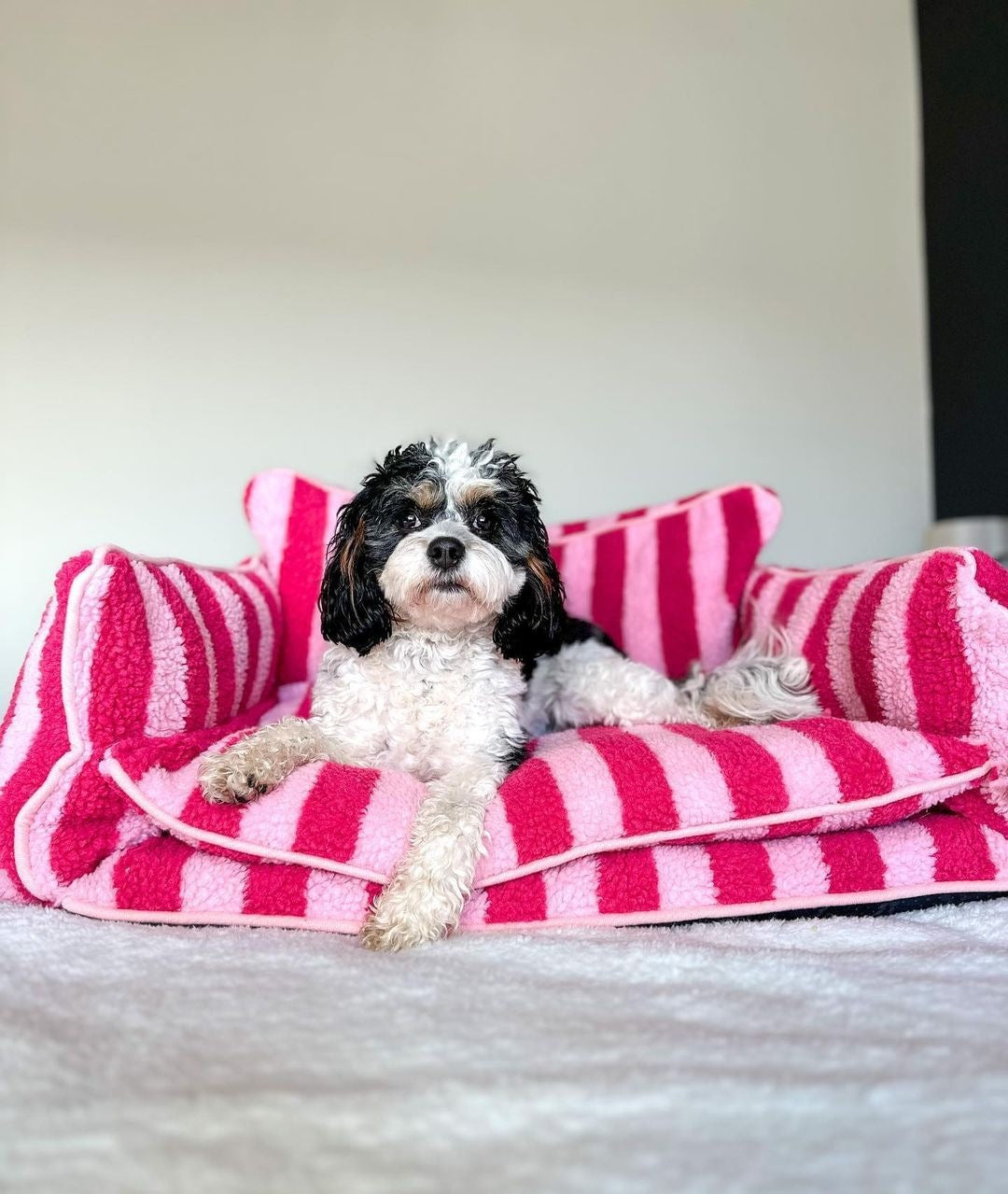 Pretty Pink Striped Dog Bed - Glow Pups