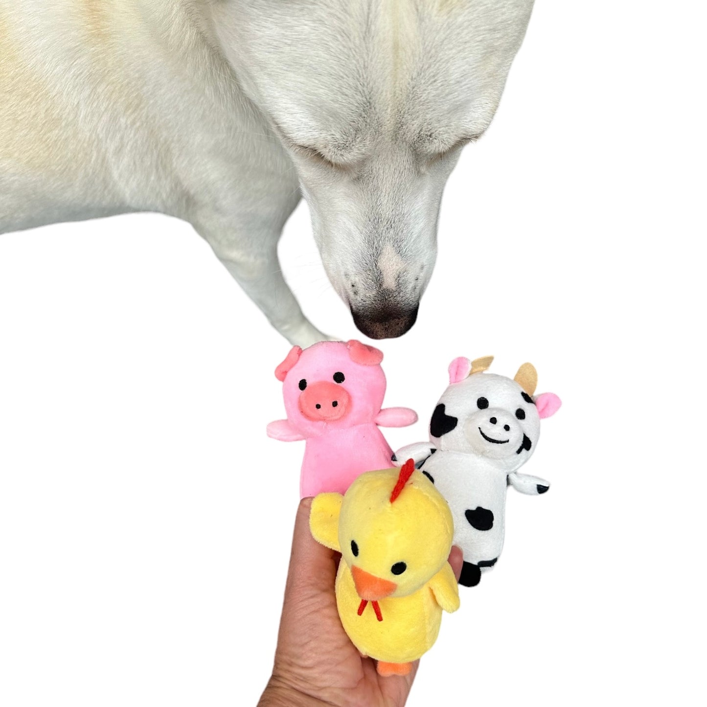 Hide & Seek Barnyard Adventure Dog Toy