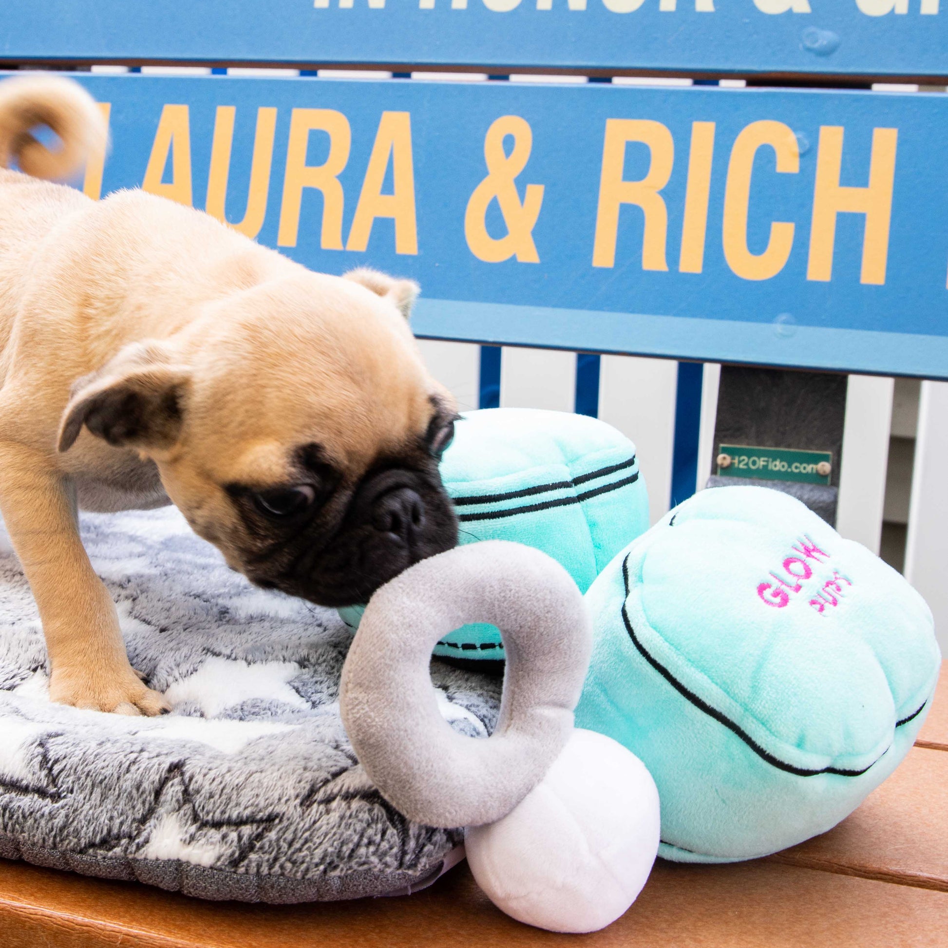 Squeaky Engagement Ring Dog Toy - Glow Pups by Glow Pups