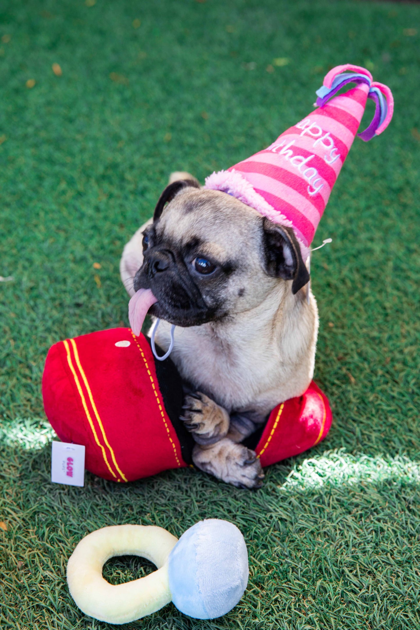 Pink Birthday Hat Dog Toy