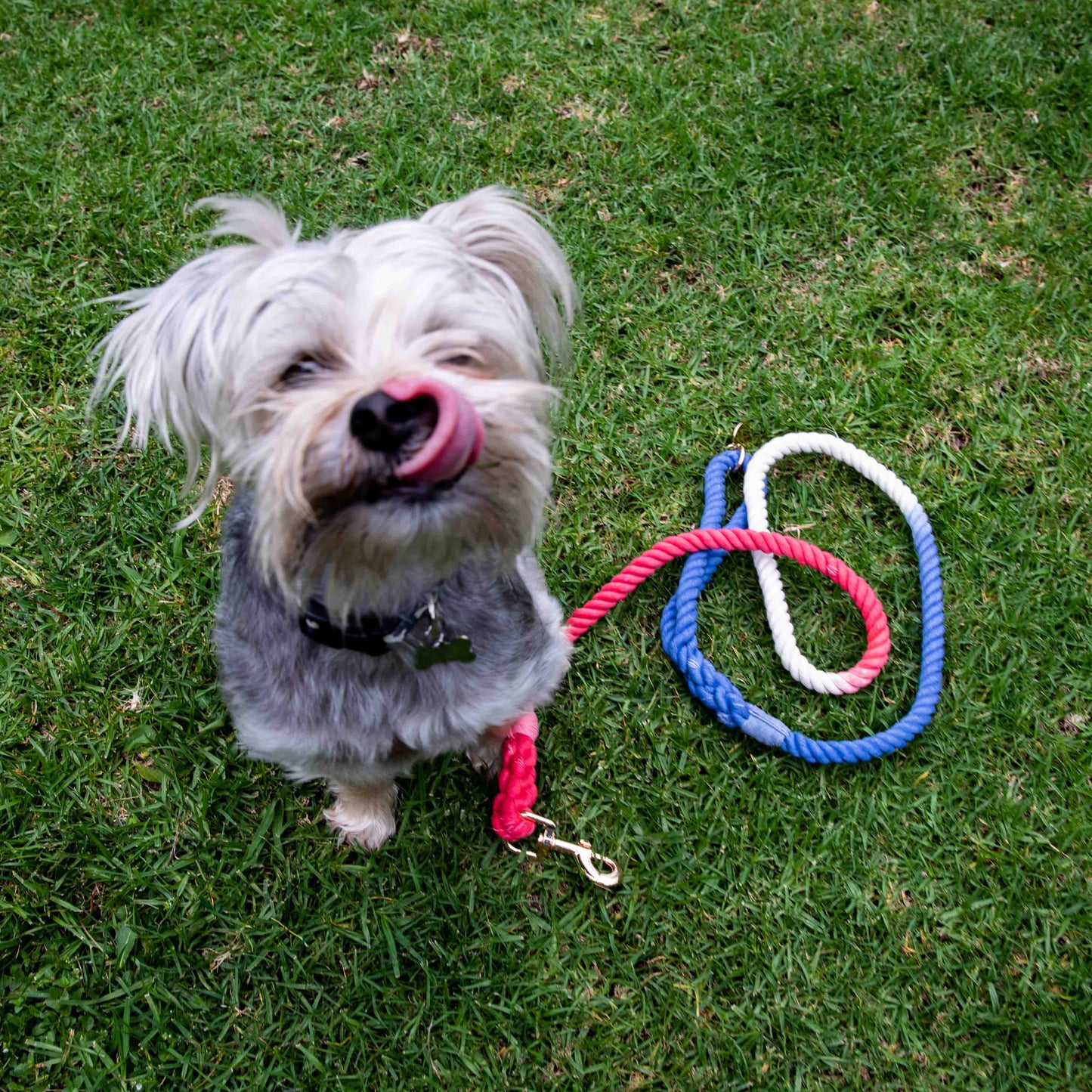 Durable Red White And Blue Rope Dog Leash With Comfortable Handle by Glow Pups
