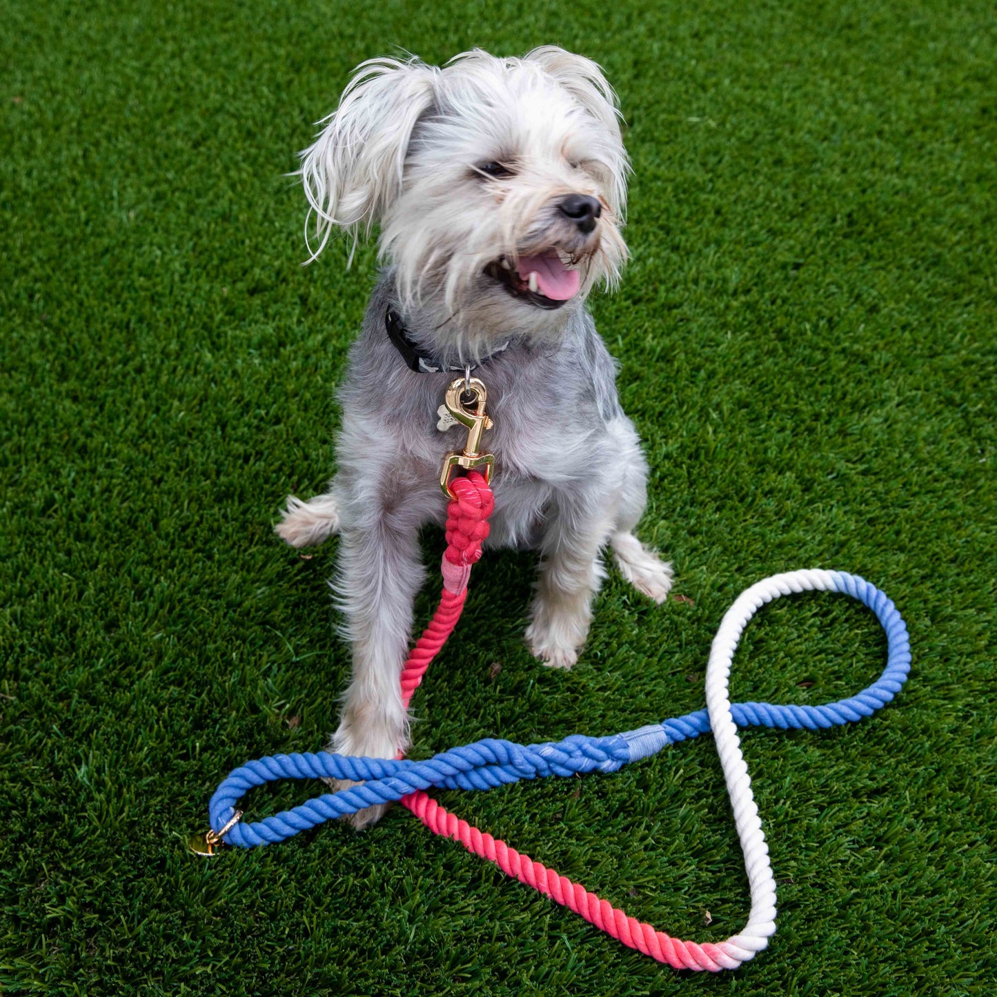Durable Red White And Blue Rope Dog Leash With Comfortable Handle by Glow Pups