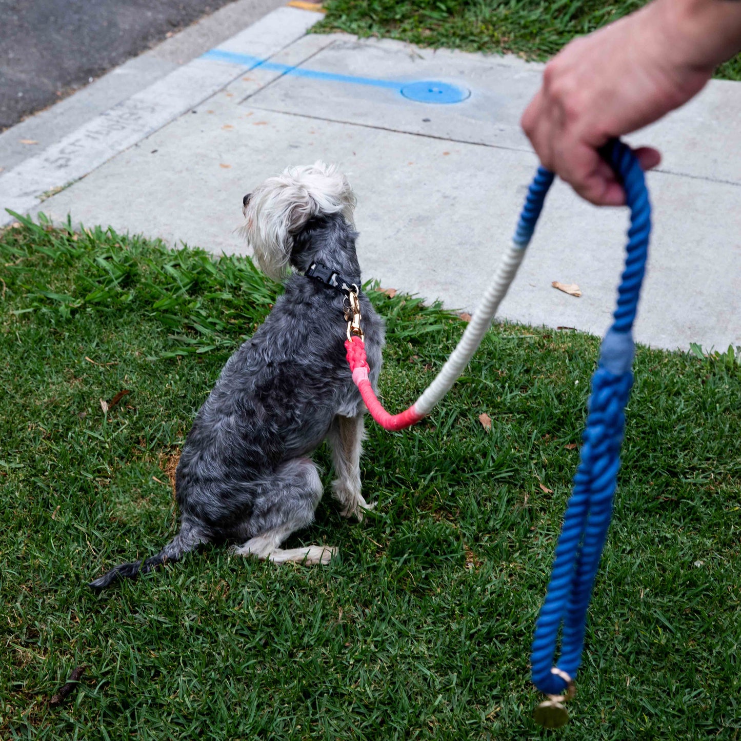 Durable Red White And Blue Rope Dog Leash With Comfortable Handle by Glow Pups
