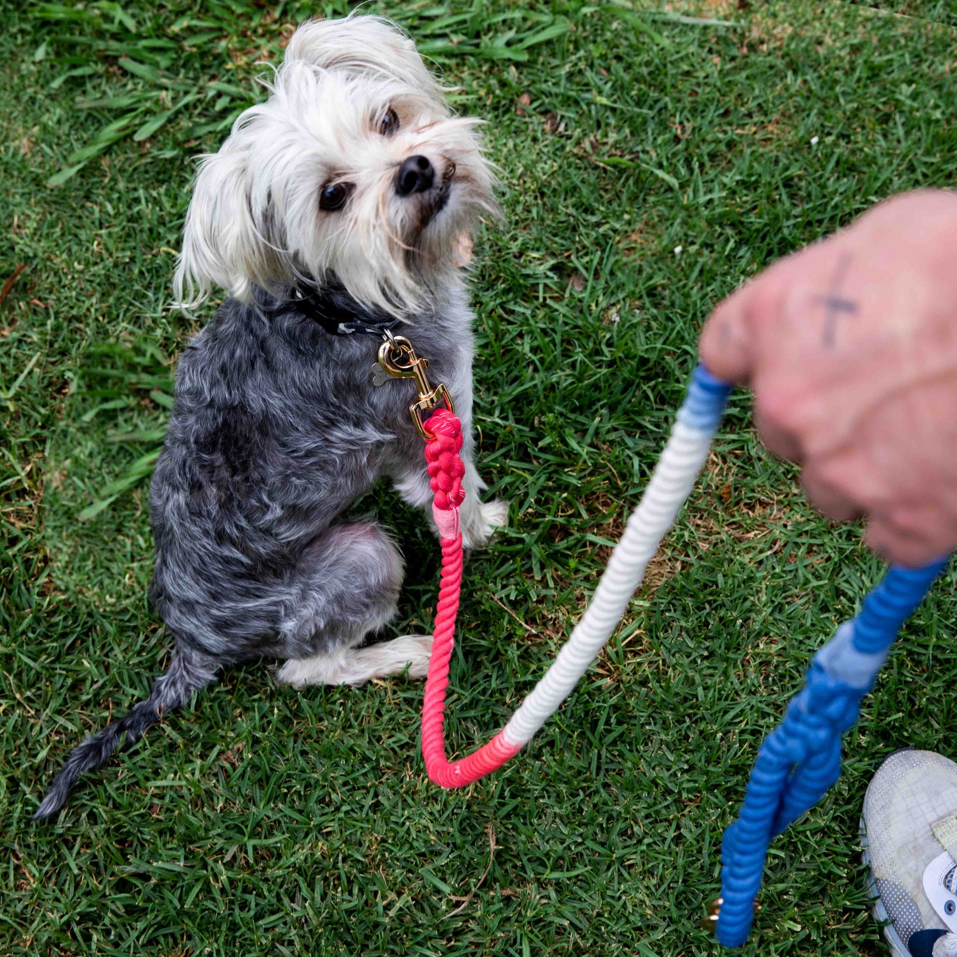 Durable Red White And Blue Rope Dog Leash With Comfortable Handle by Glow Pups