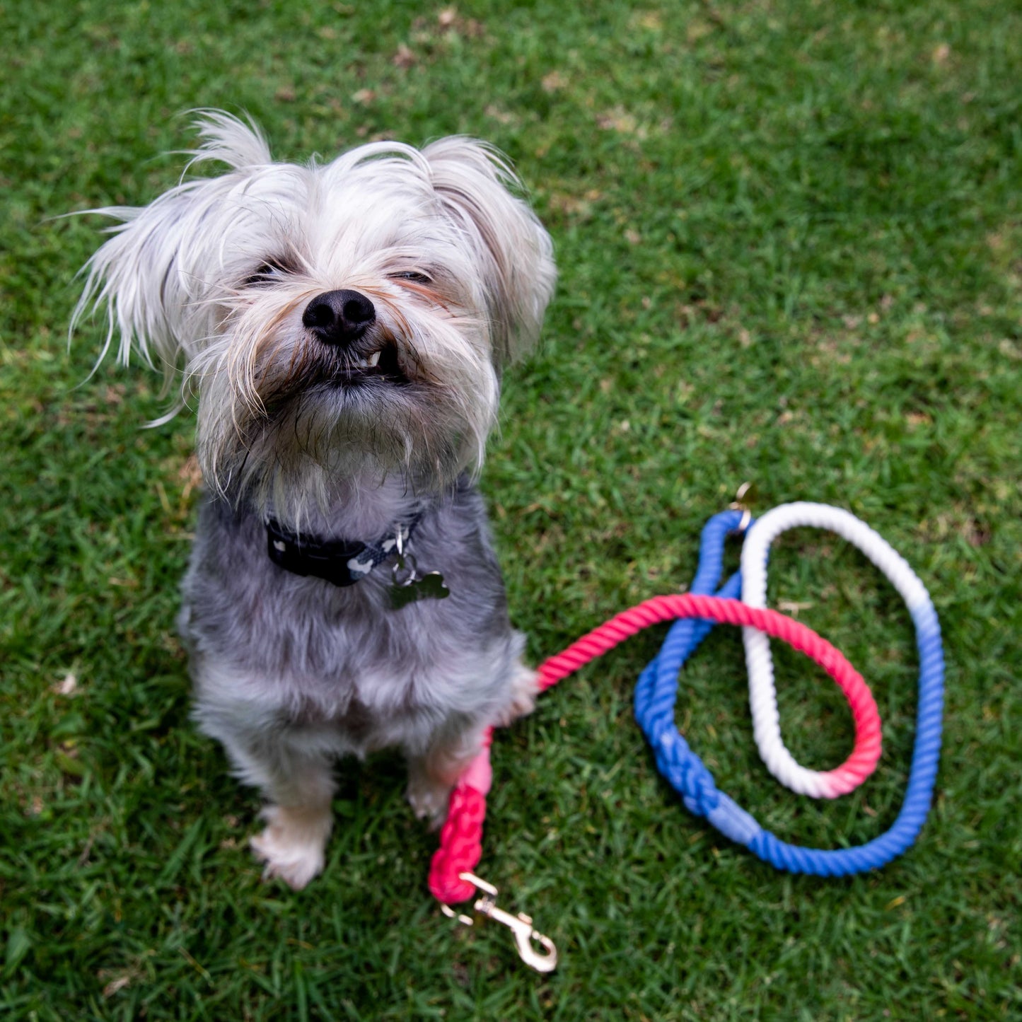 Durable Red White And Blue Rope Dog Leash With Comfortable Handle by Glow Pups