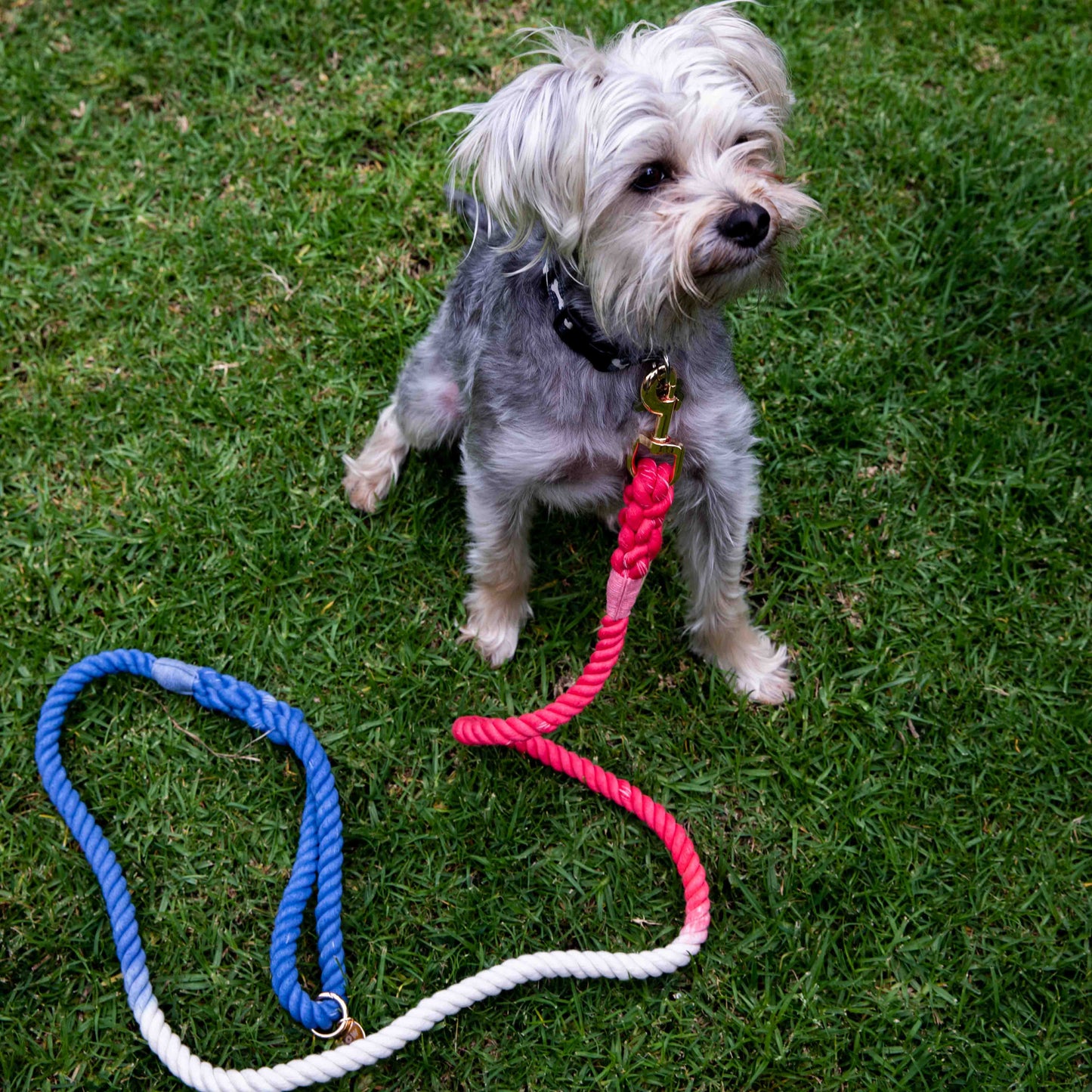 Durable Red White And Blue Rope Dog Leash With Comfortable Handle by Glow Pups