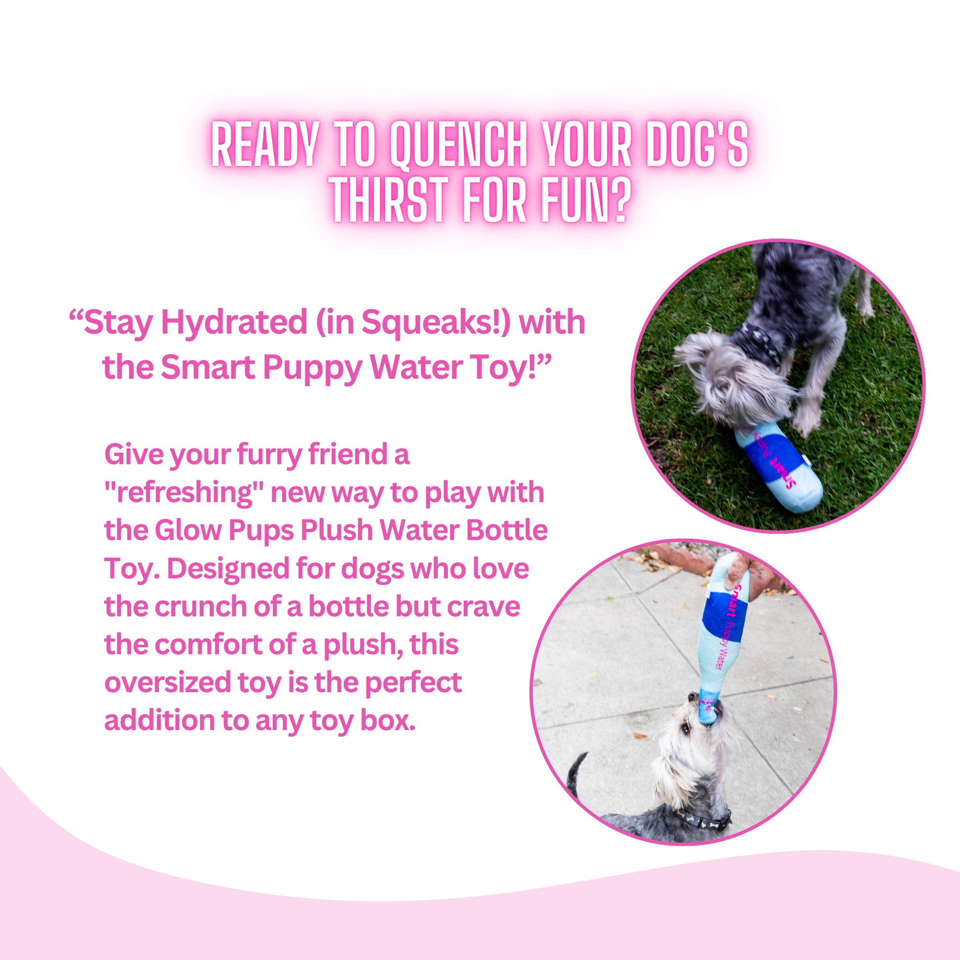 Squeaky Water Bottle Plush Dog Toy- Glow Pups by Glow Pups