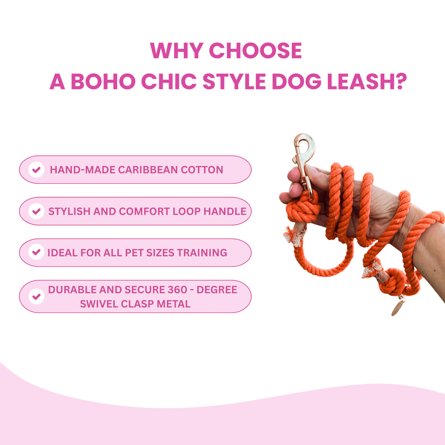 Orange Boho Chic Style Dog Leash - Glow Pups by Glow Pups