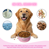 Vacuum Insulated Stainless Steel Dog Bowls With Double Walled Design Keep Water Cold Longer by Glow Pups