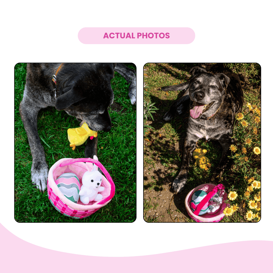 Easter Basket Dog Toy - Fun Spring Toy Set with Bunny, Chick & Egg - Glow Pups by Glow Pups