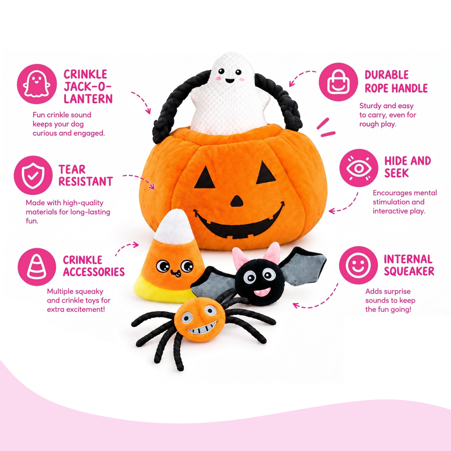 Halloween Jack O Lantern Hide and Seek Dog Toy - Glow Pups by Glow Pups