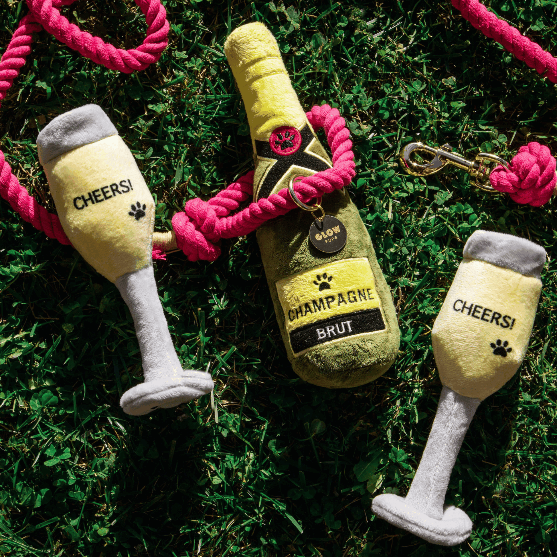 Champagne Glass Dog Toy - 2 Pack - Glow Pups by Glow Pups