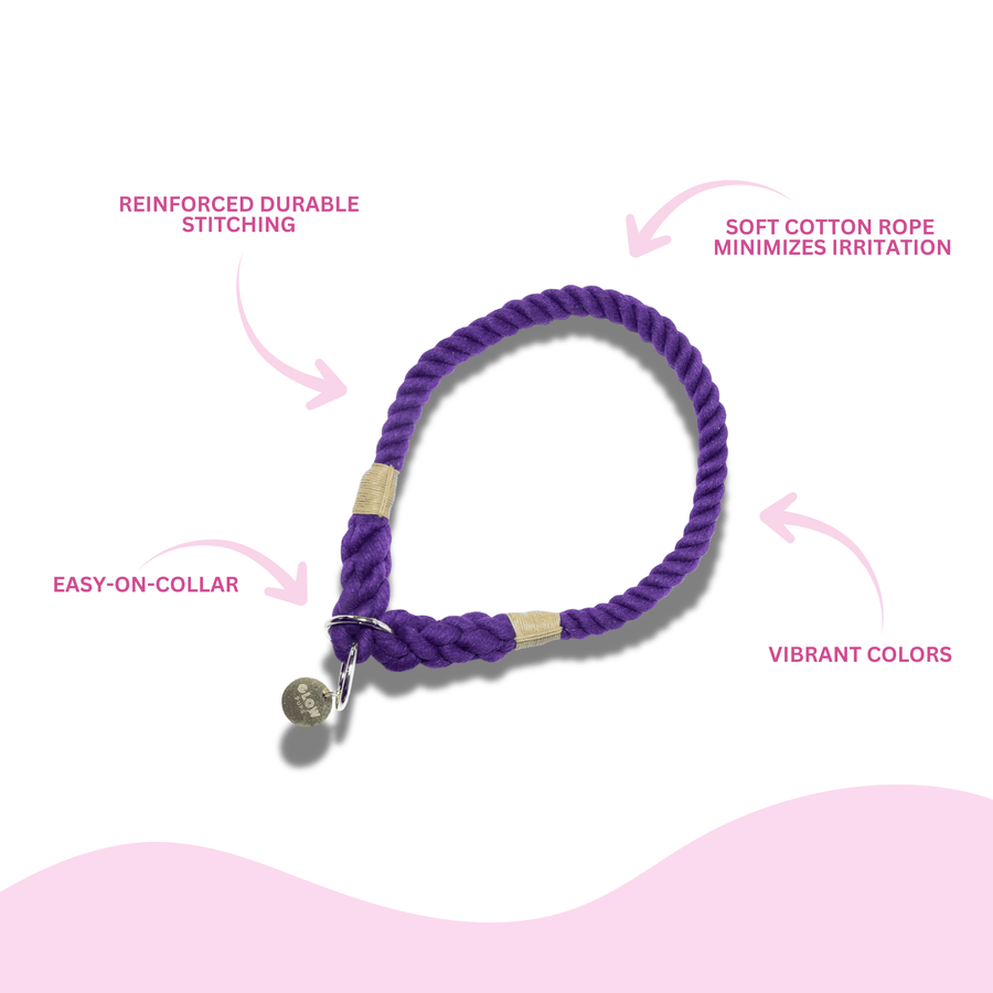 Purple Stylish Rope Slip Collar - Glow Pups by Glow Pups