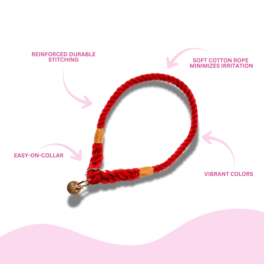 Red Stylish Rope Slip Collar - Glow Pups by Glow Pups