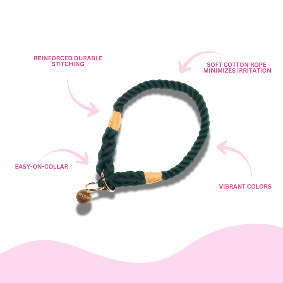 Dark Green Stylish Rope Slip Collar - Glow Pups by Glow Pups