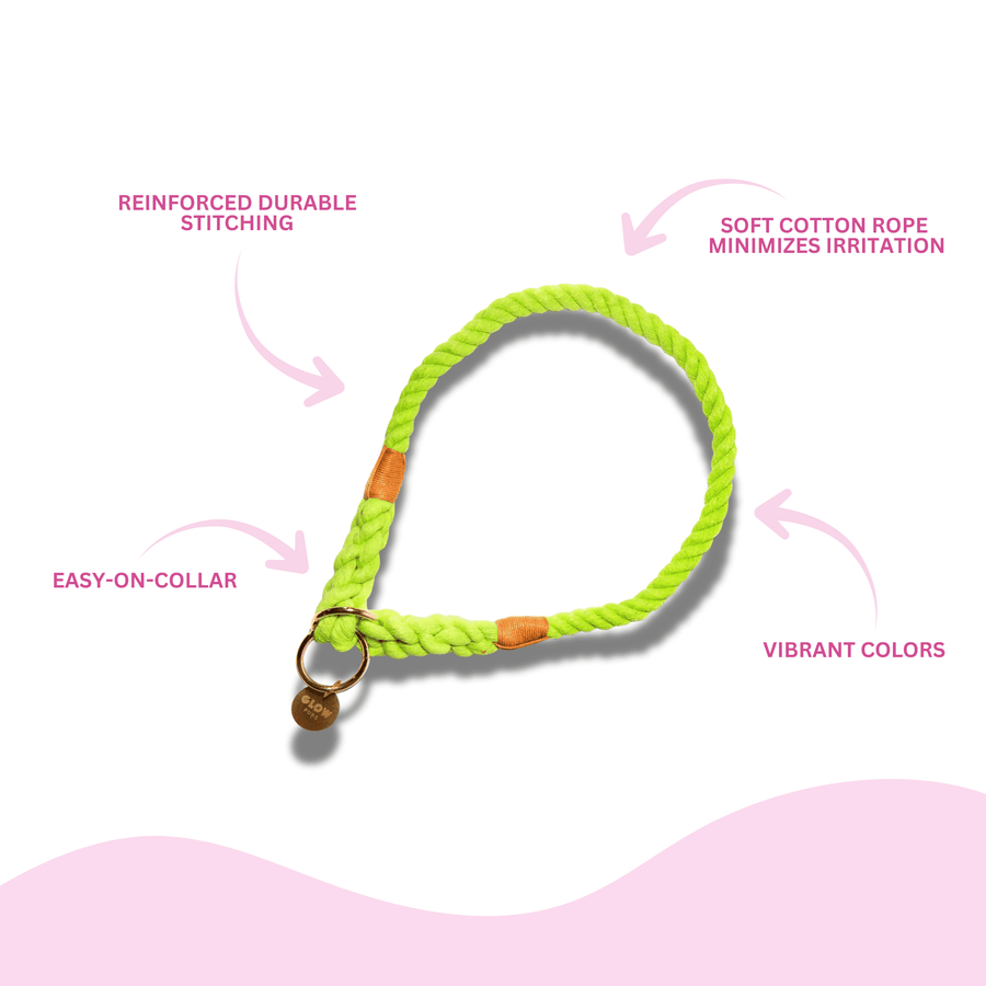 Lime Green Stylish Rope Slip Collar - Glow Pups by Glow Pups