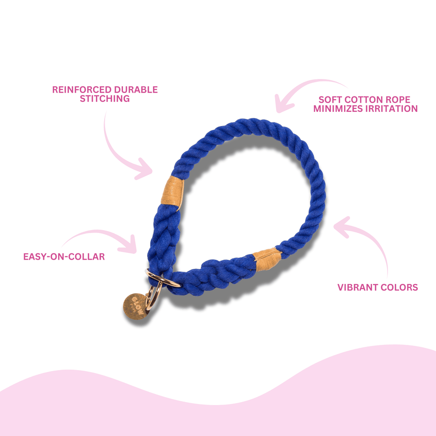 Blue Stylish Rope Slip Collar - Glow Pups by Glow Pups