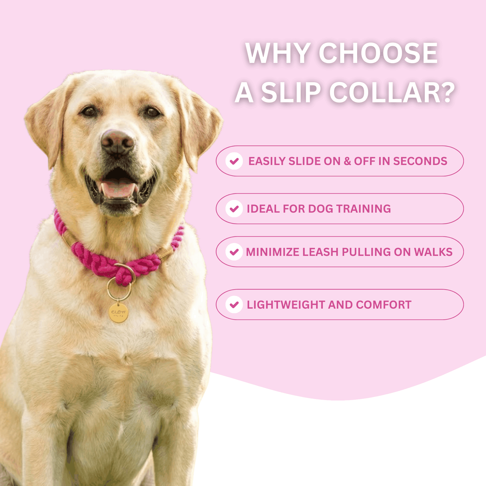 Stylish Rope Slip Collar for Medium to Large Dogs - Adjustable