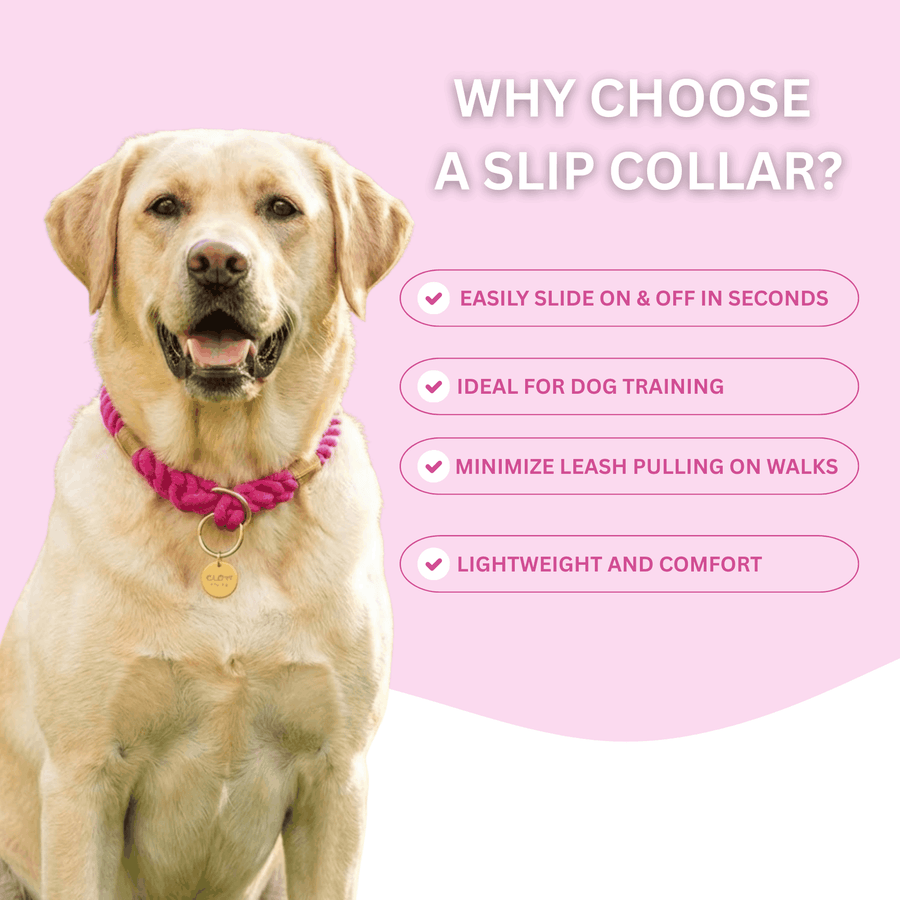 Black Stylish Rope Slip Collar - Glow Pups by Glow Pups