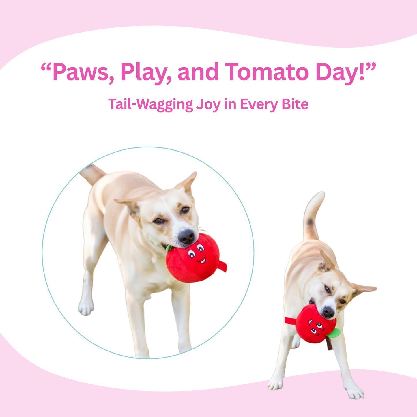 Tomato Squeaky Dog Toy - Glow Pups by Glow Pups
