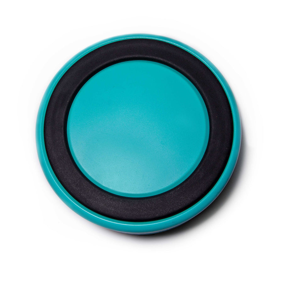 Aqua Blue Stainless Steel Dog Bowl 32oz and 64oz Vacuum Insulated No Slip No Tip Base Glow Pups by Glow Pups
