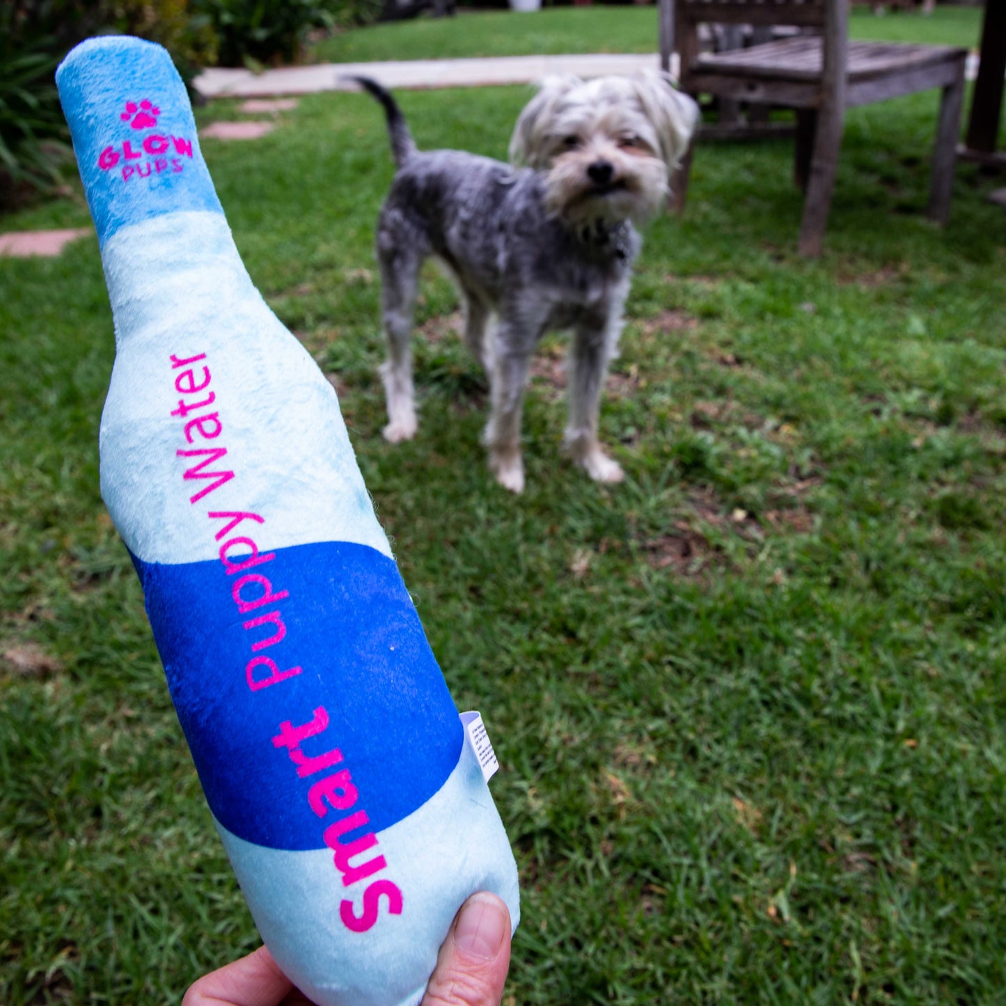 Squeaky Water Bottle Plush Dog Toy- Glow Pups by Glow Pups