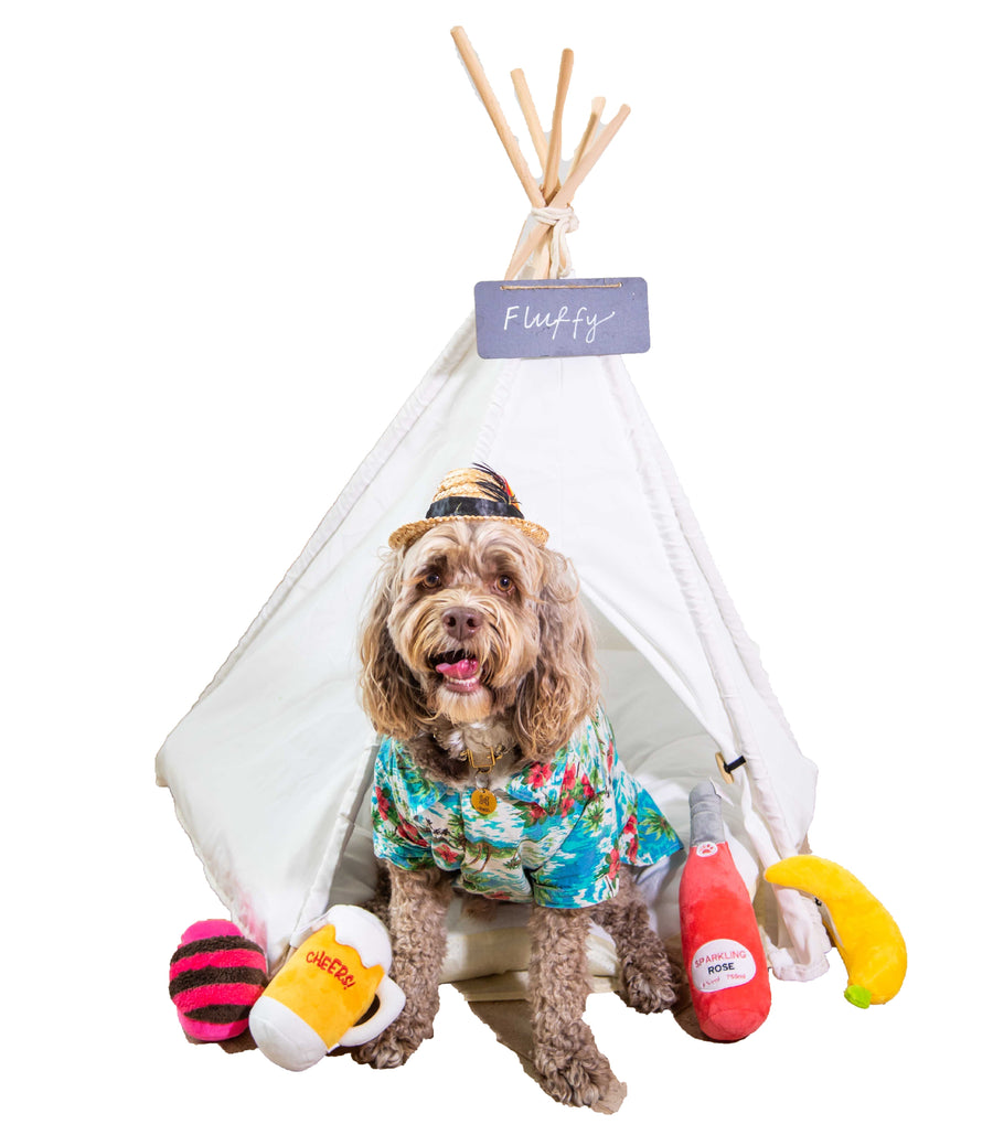 White Pet Teepee Dog Bed by Glow Pups Cozy Private Retreat for Dogs Soft Breathable Fabric by Glow Pups