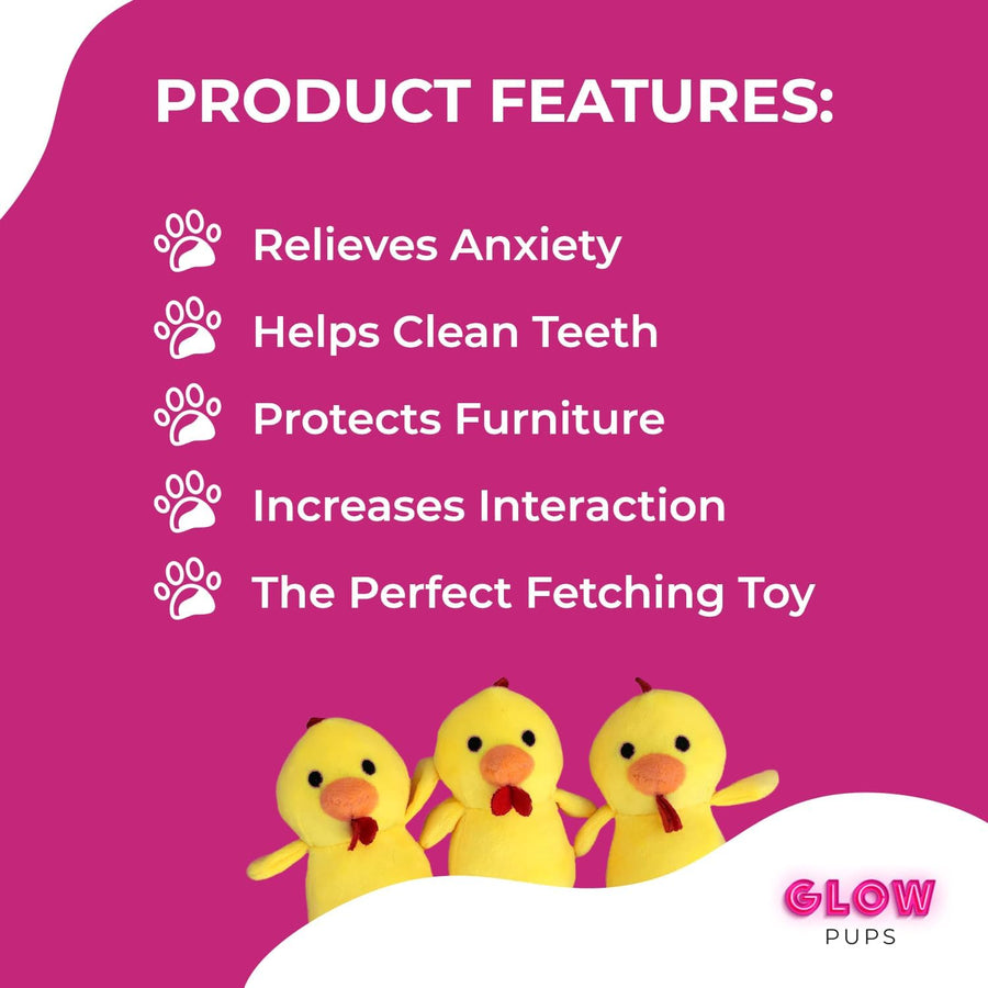 Burrow Chicken in Egg Hide and Seek Dog Toy - Glow Pups by Glow Pups