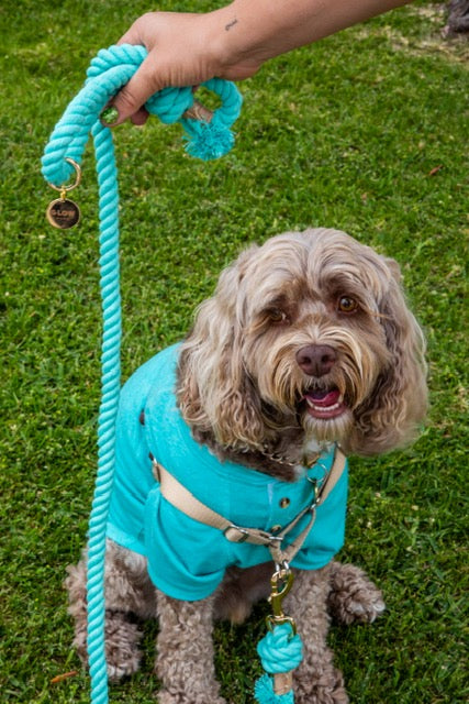 Turquoise Boho Chic Style Leash