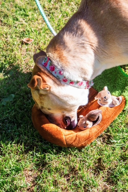 Wooded Animal in Tree Dog Toy