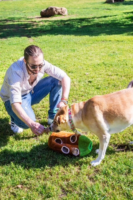 Wooded Animal in Tree Dog Toy