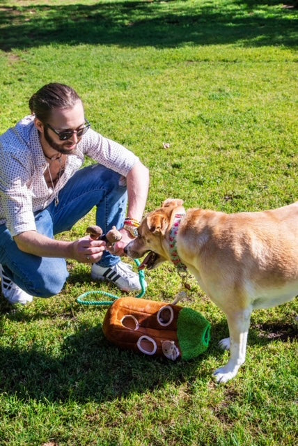 Wooded Animal in Tree Dog Toy