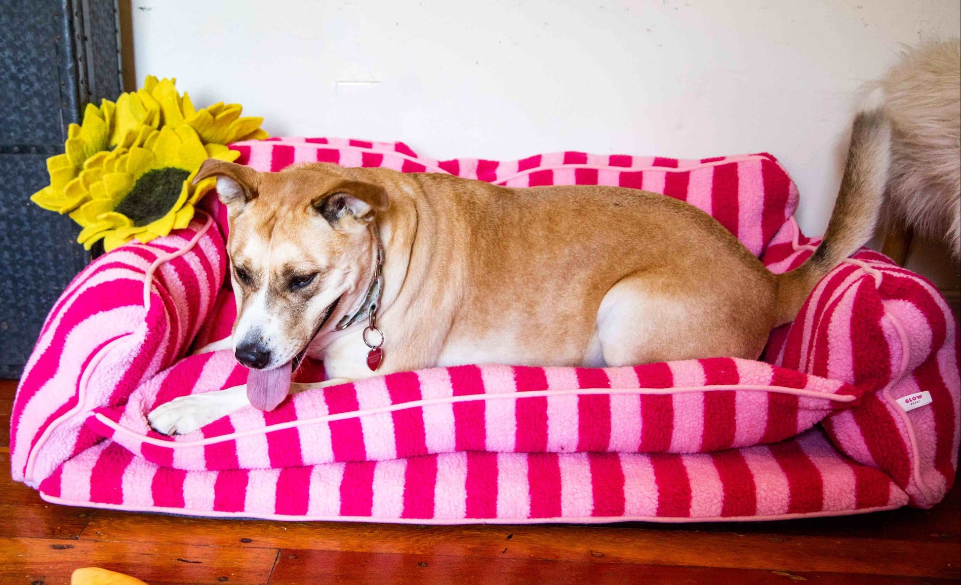 Glow Pups Pretty Pink Striped Sofa Dog Bed For Stylish Comfort And Cozy Rest For Pets by Glow Pups