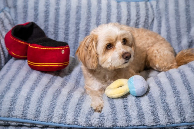 Plush Diamond Ring Dog Toy with Squeaker