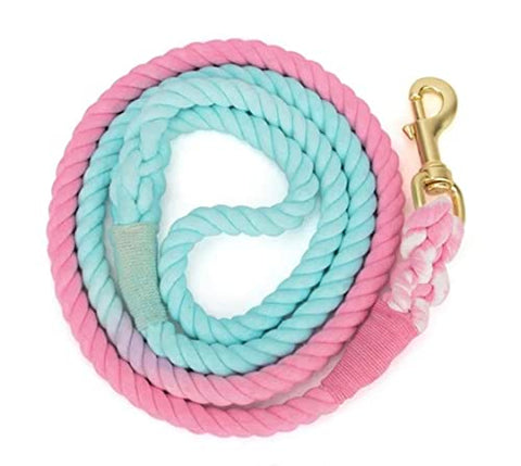 Pink and Blue Pastel Swirl Leash