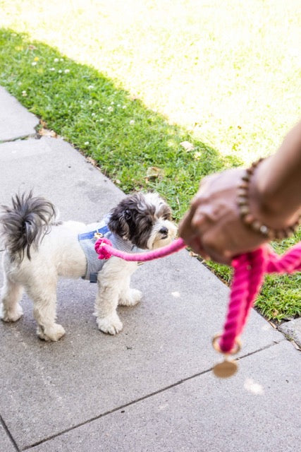 Magenta Boho Chic Dog Leash