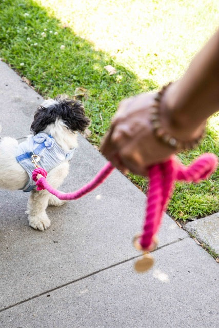 Magenta Boho Chic Dog Leash