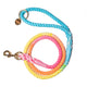 Rainbow Tie Dye Leash - Glow Pups by Glow Pups