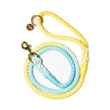 Sunshine Waves Tie Dye Leash - Yellow Blue by Glow Pups