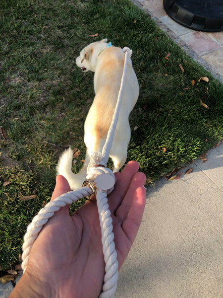 Natural White Caribbean Cotton Dog Rope Leash - Boho Chic Beach Style 🌴🐾 - Perfect for Weddings