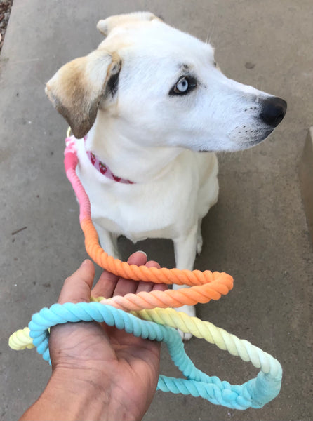 Rainbow Tie Dyed Rope Pet Leashes
