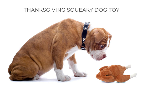 Plush Turkey Dog Toy with Squeaker