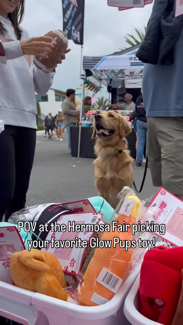 @glow__pups